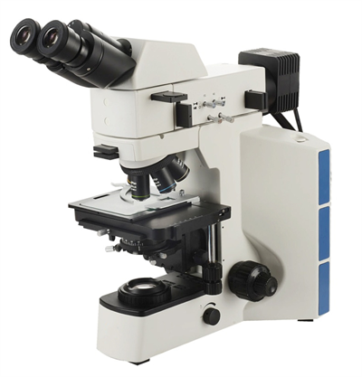 differential interference metallographic