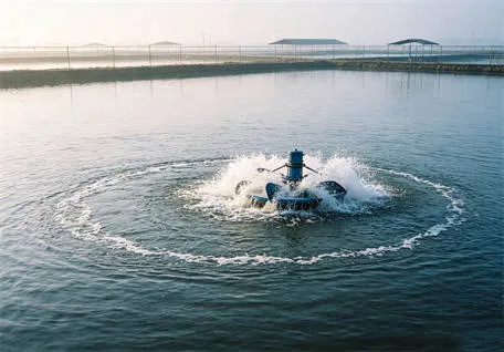 Oxygenation System Project of Large-scale Shrimp Breeding Ba